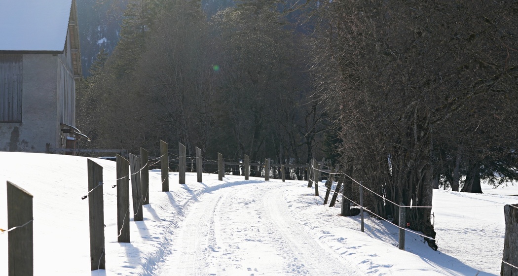 Flache Wegführung machen diesen Weg ideal für Familien und gemütliche Wanderer*innen