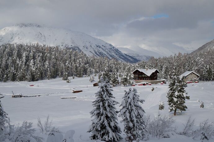 Staz Kiosk (oua_623910137_image)