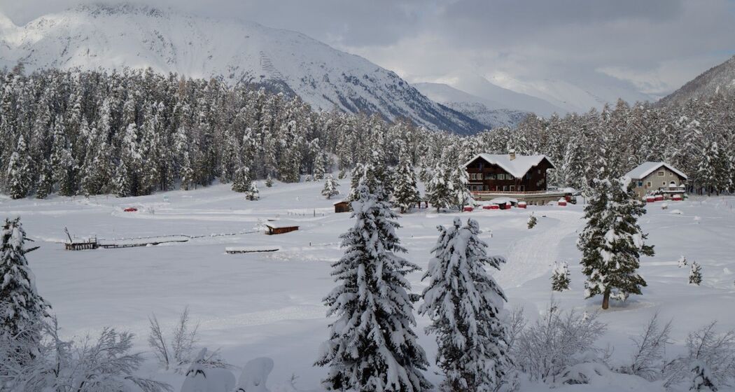 Staz Kiosk (oua_623910137_image)