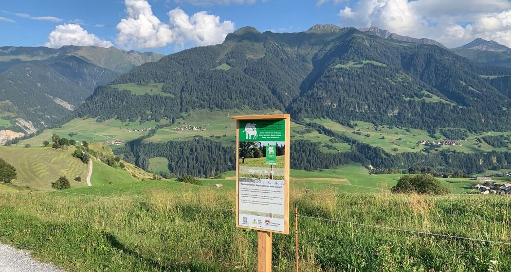 Lehrpfad "Rindvieh - mehr als Muh!", Vella (oua_62409211_image)