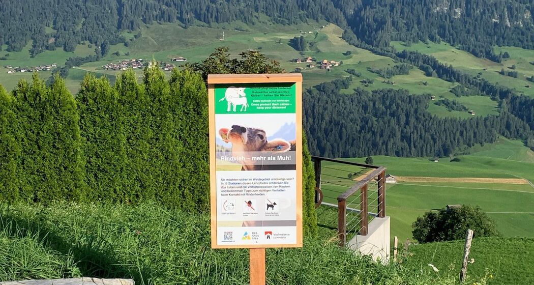 Lehrpfad "Rindvieh - mehr als Muh!", Vella (oua_62409213_image)