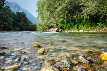 Golena Pascolet Grono