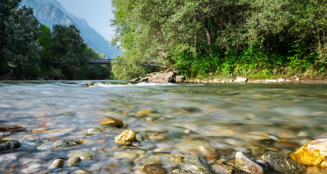 Golena Pascolet Grono