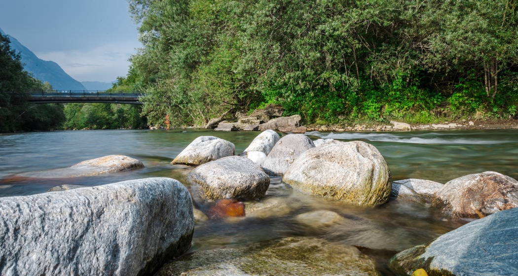 Golena Pascolet Grono