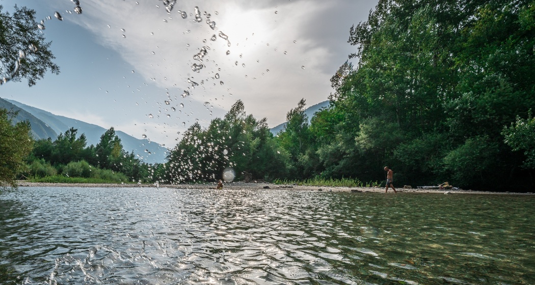 Golena Pascolet Grono