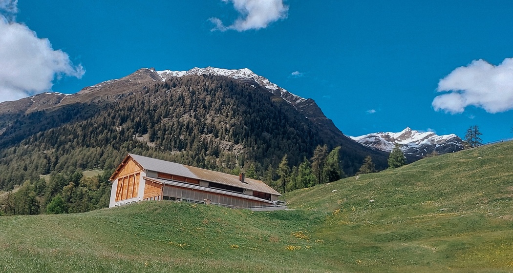 Biohof Quadrella (oua_624365695_image)