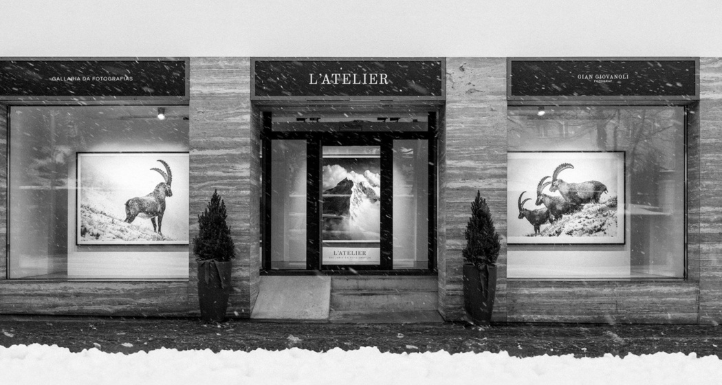 L‘ATELIER - Gallaria da Fotografias (oua_624365934_image)