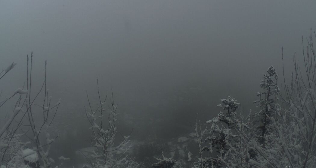 Thusis › North: Domleschg (oua_624448524_image)