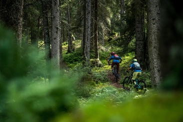 Biker im Wald