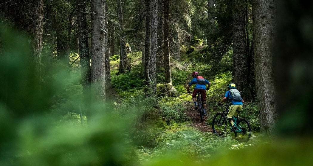 Biker im Wald