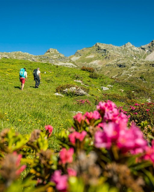 Val dal Saient
