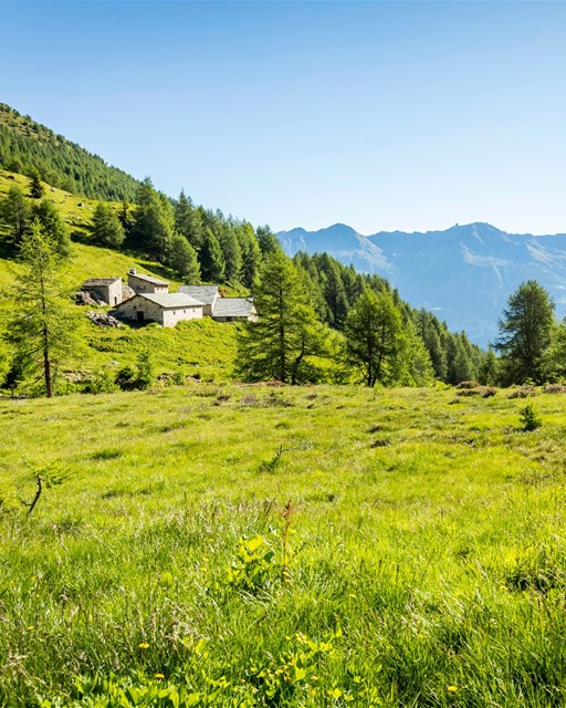 Val dal Saient