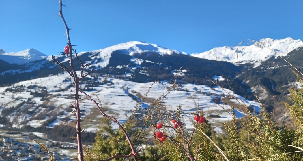 Aussicht von Pavillon