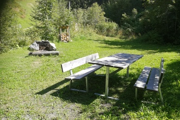 Fireplace Forest Saloon