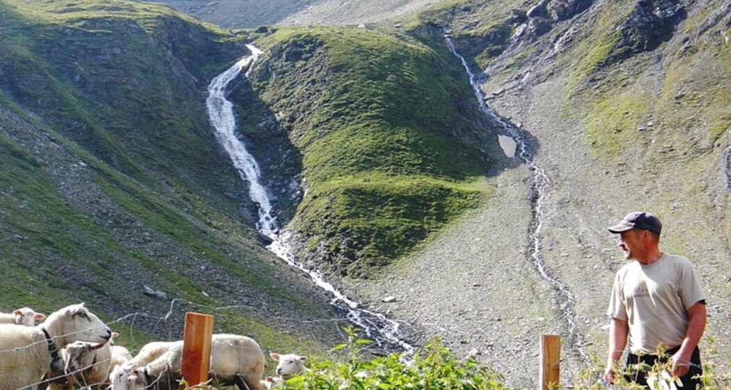 Ein Leben in den Bergen