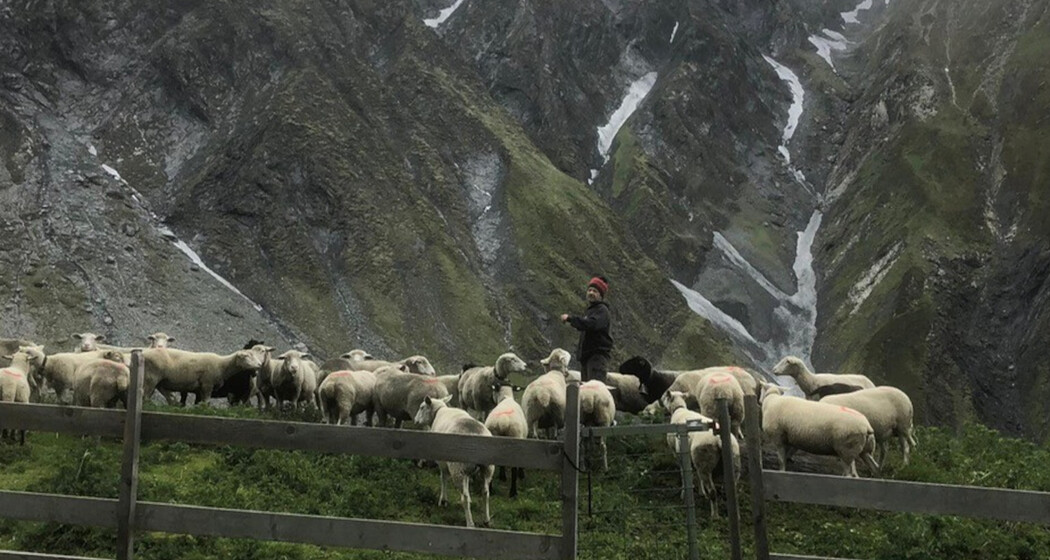 Ein Leben in den Bergen