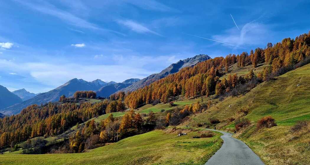 Weg Richtung Bos-cha