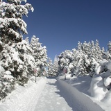 paesaggio innevato a Chamues-ch