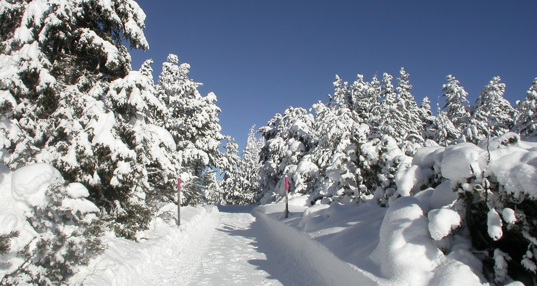 verschneite Landschaft bei Chamues-ch
