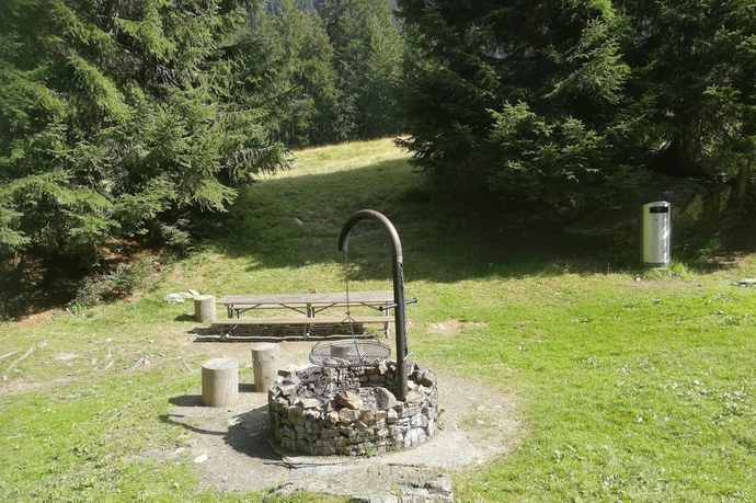 Fireplace Wedding Path