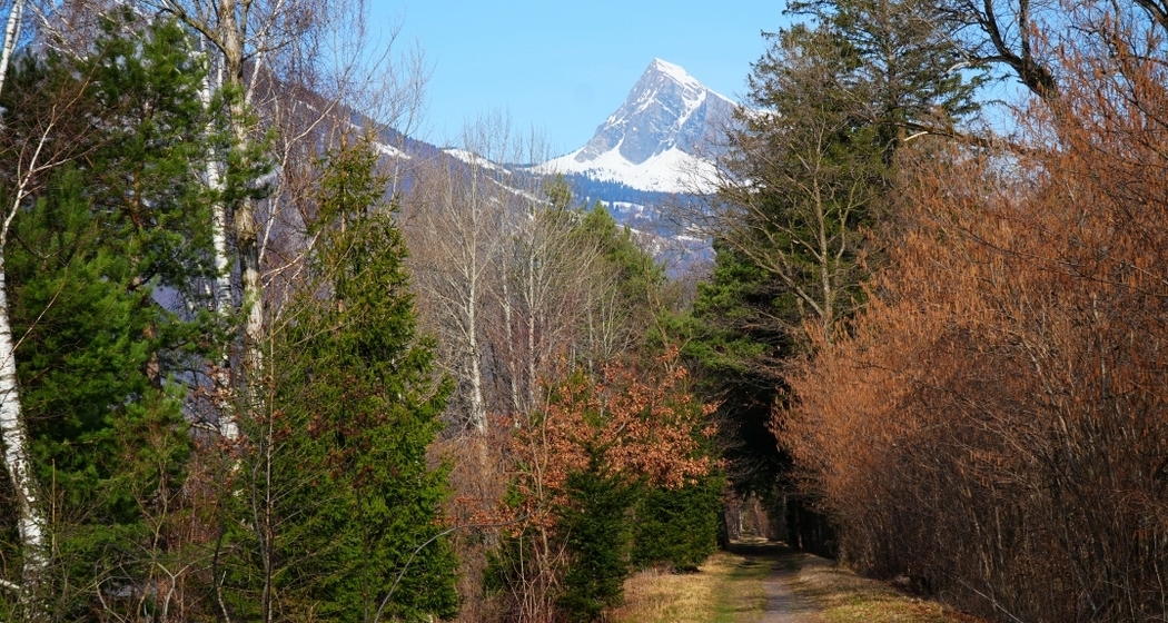 Gemütlicher Spazierweg mit Gauschla im Hintergrund