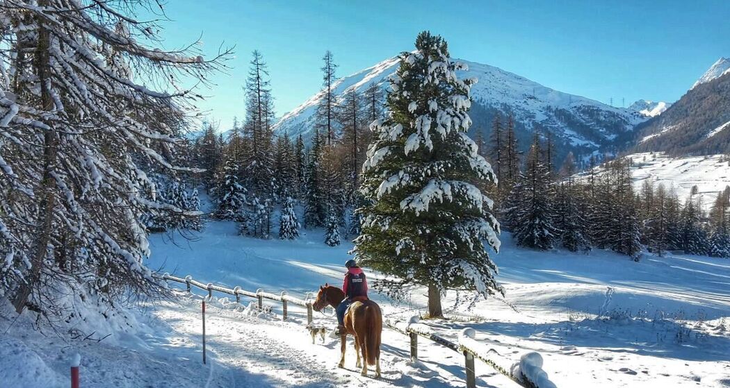 Engadin River Ranch (oua_625823984_image)