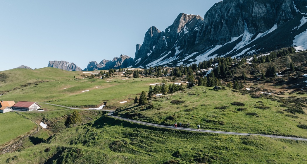 Entspanntes Gelände auf der Hochebene Palfries