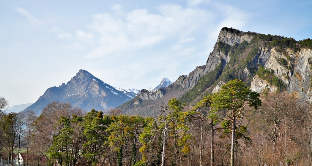 Regitzer Spitz und Gonzen
