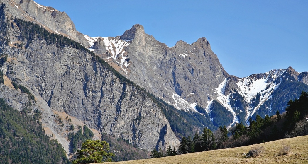 Falknis-Massiv von der Fläscher Alp aus gesehen
