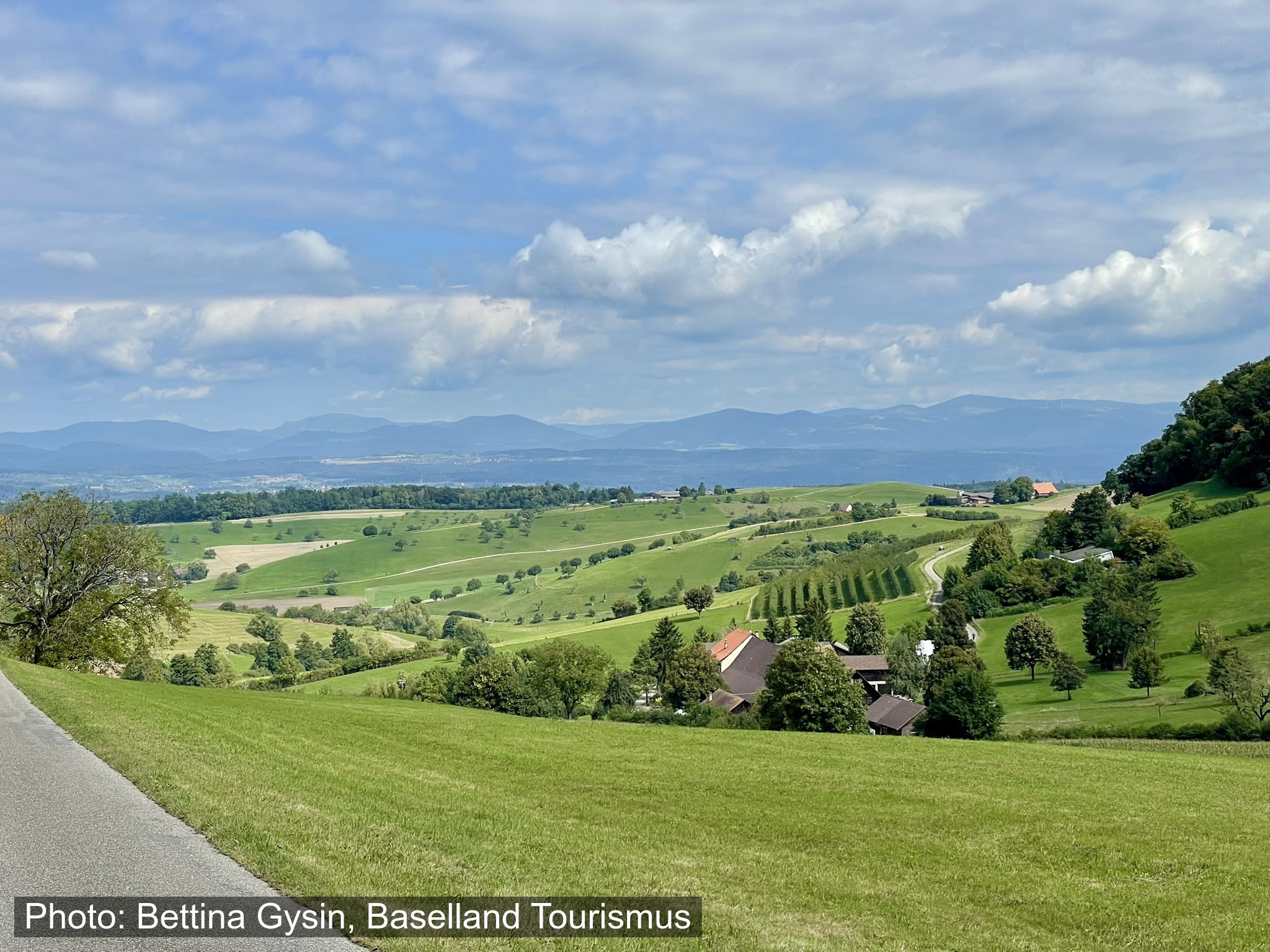 Kinderwagenwanderung: Unterwegs zur Bärenfamilie