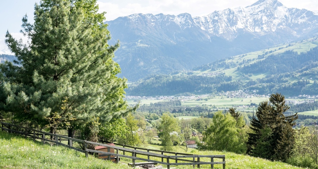 Feuerstelle Plaun da Glenna (oua_626037017_image)