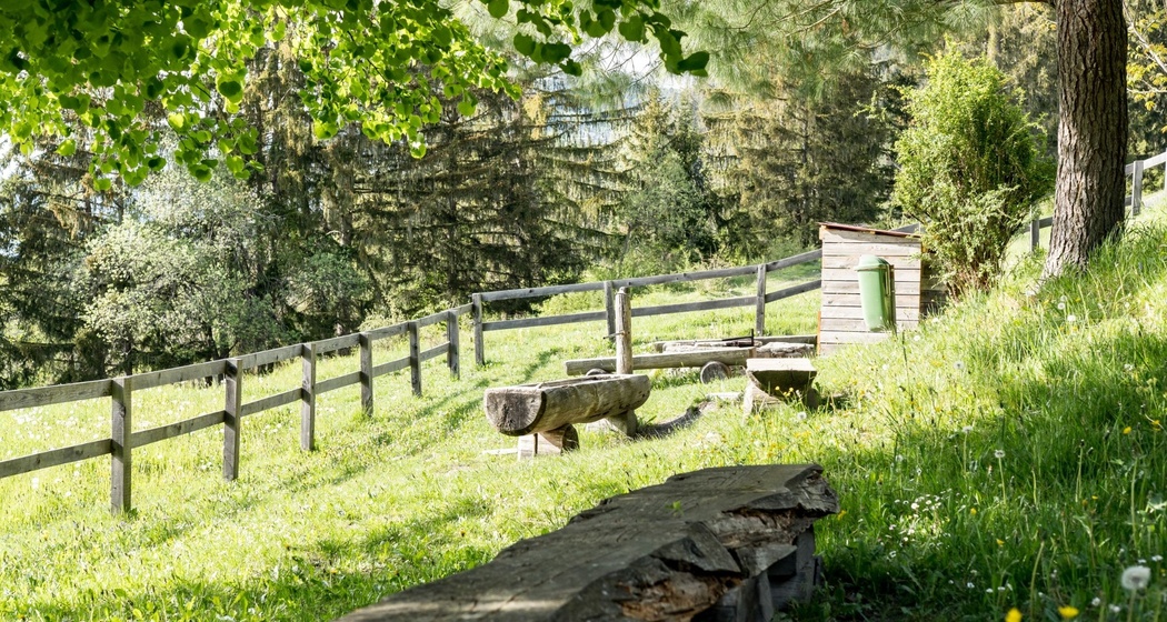 Feuerstelle Plaun da Glenna (oua_626037018_image)