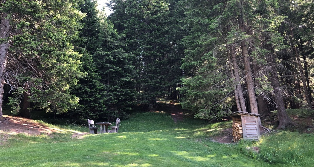 Feuerstelle Patrutgsee (oua_626037022_image)