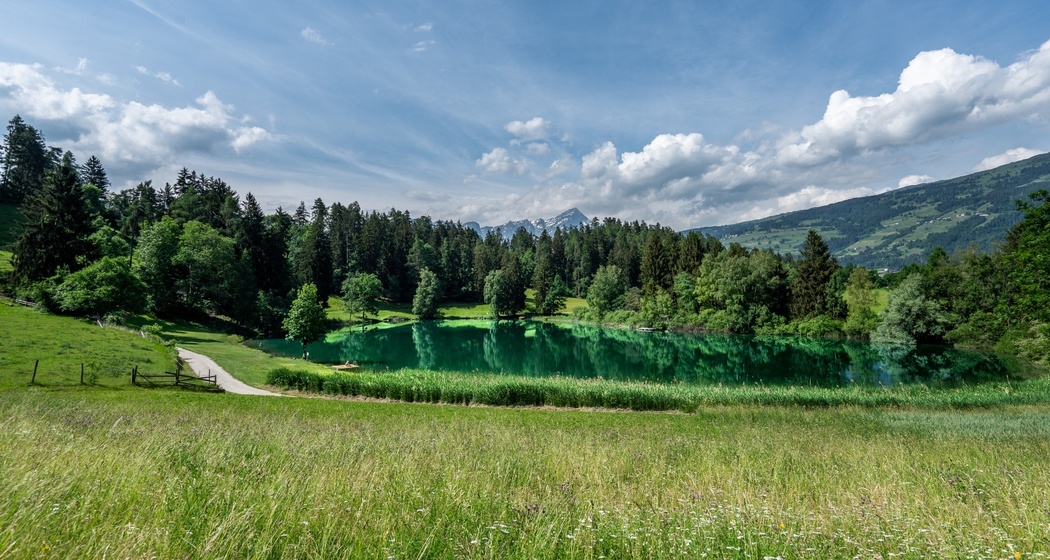 Canovasee (oua_626037057_image)