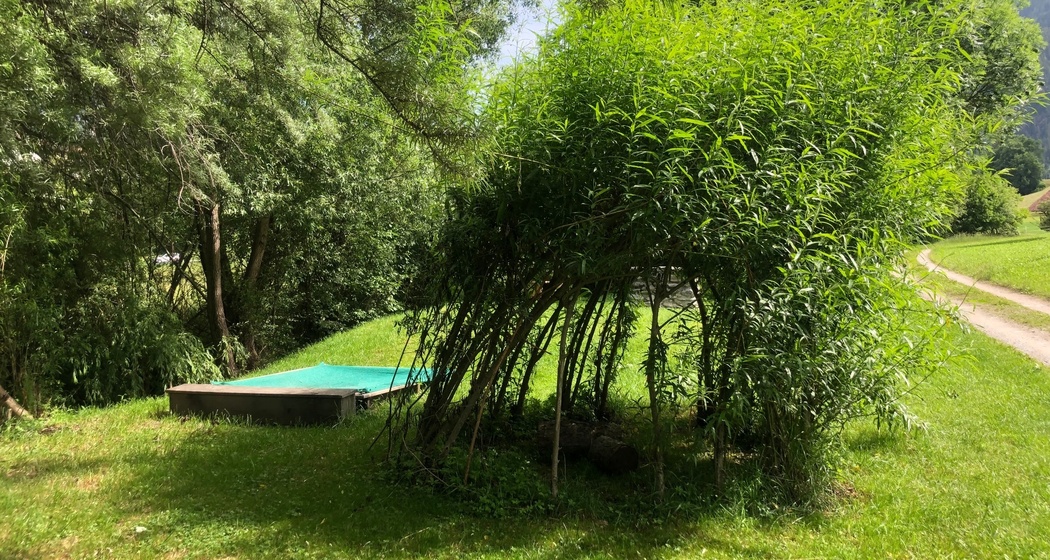 Feuerstelle Im Ried Masein (oua_626037062_image)