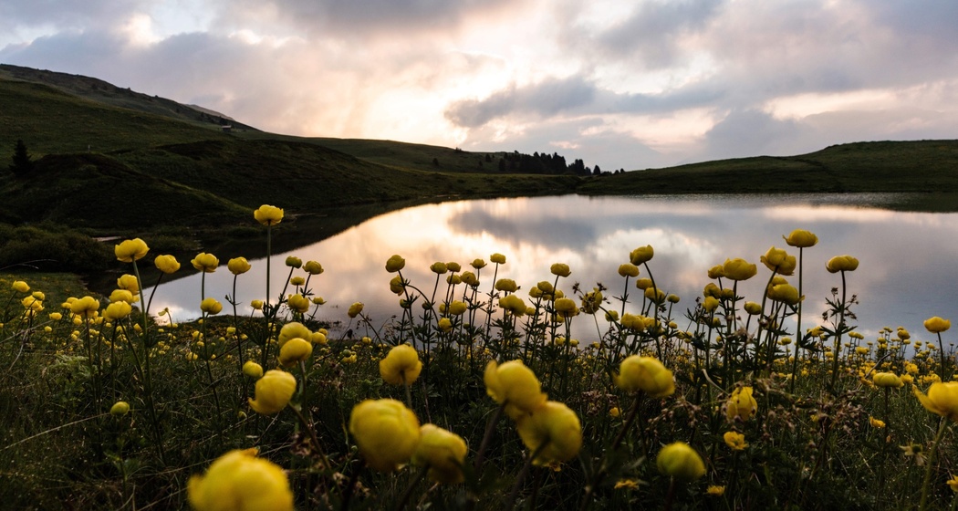 Feuerstelle Libi (oua_626037071_image)