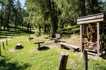 Caminetto Casealas (oua_626037079_image)