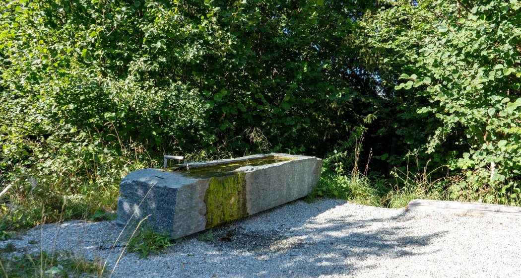 Feuerstelle Burgruine Cagliatscha (oua_626037160_image)