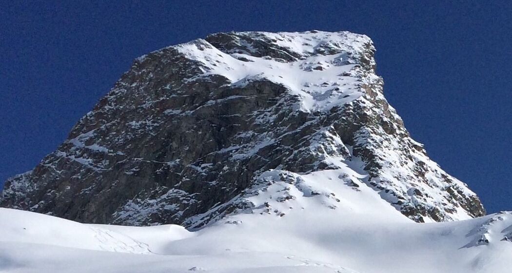 Pierino Giuliani (Dipl. Bergführer IVBV) (oua_626241563_image)