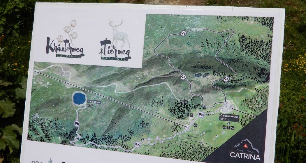 Start Tierweg in Caischavedra