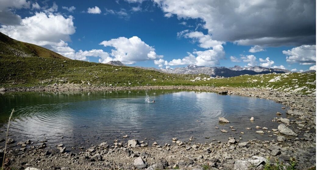 Alp Arpiglia (oua_626487570_image)