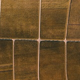 Rebberge der Bündner Herrschaft im Herbst