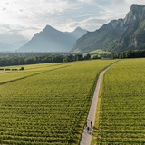 E-Biken in der Bündner Herrschaft