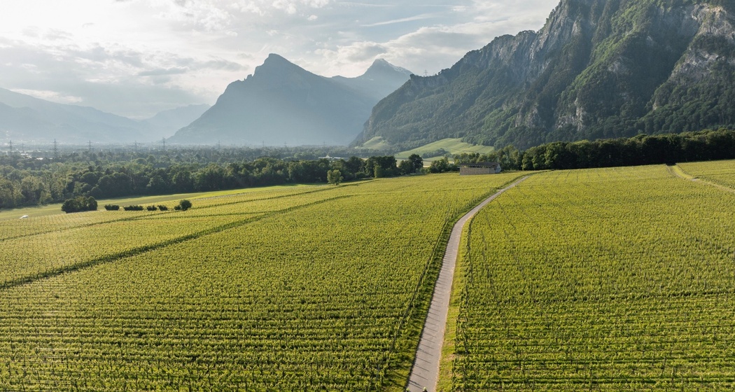 E-Biken in der Bündner Herrschaft
