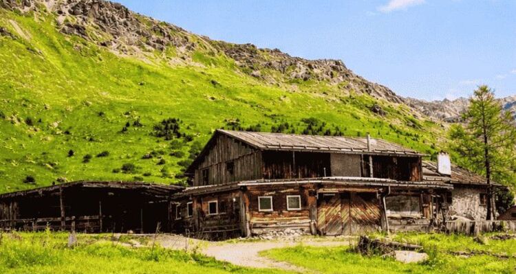 Agrotourismus auf der Alp Flix (oua_626622134_image)