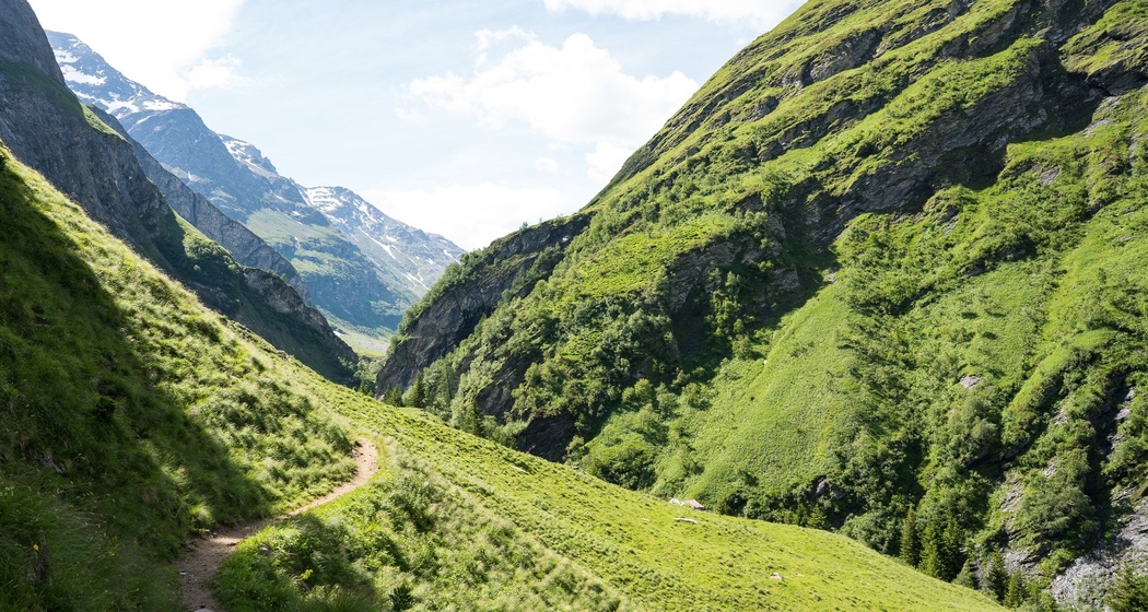 Hoch über dem Areuabach