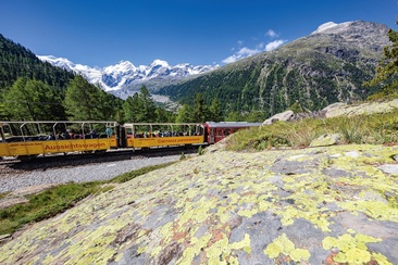 Offene Aussichtswagen (oua_627162701_image)