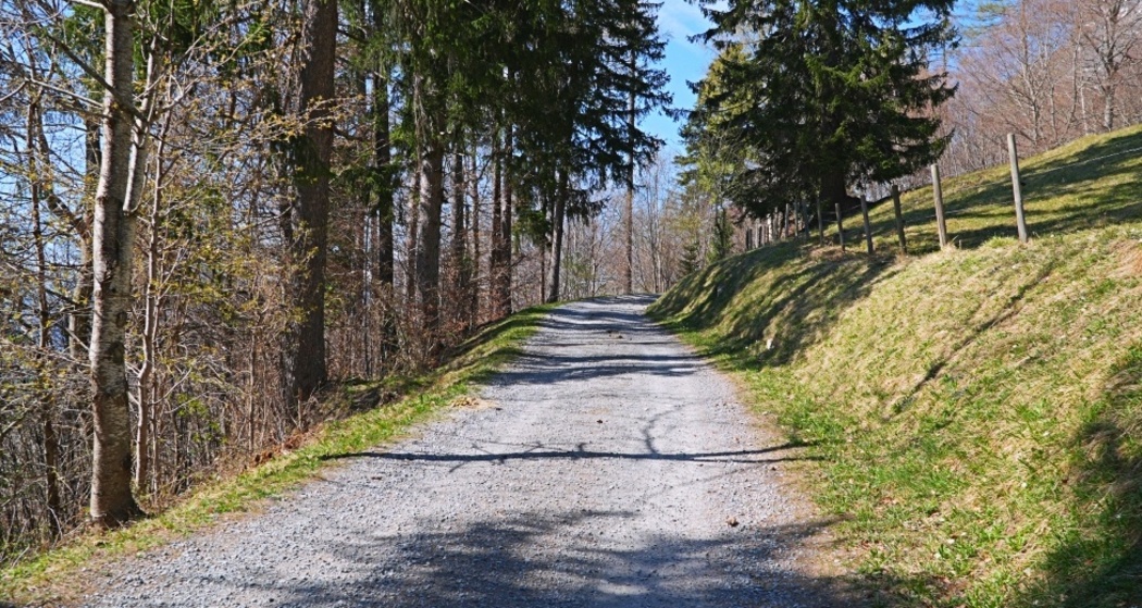 Unterwegs zur Heidialp oberhalb von Maienfeld