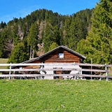 Heidialp oberhalb von Maienfeld