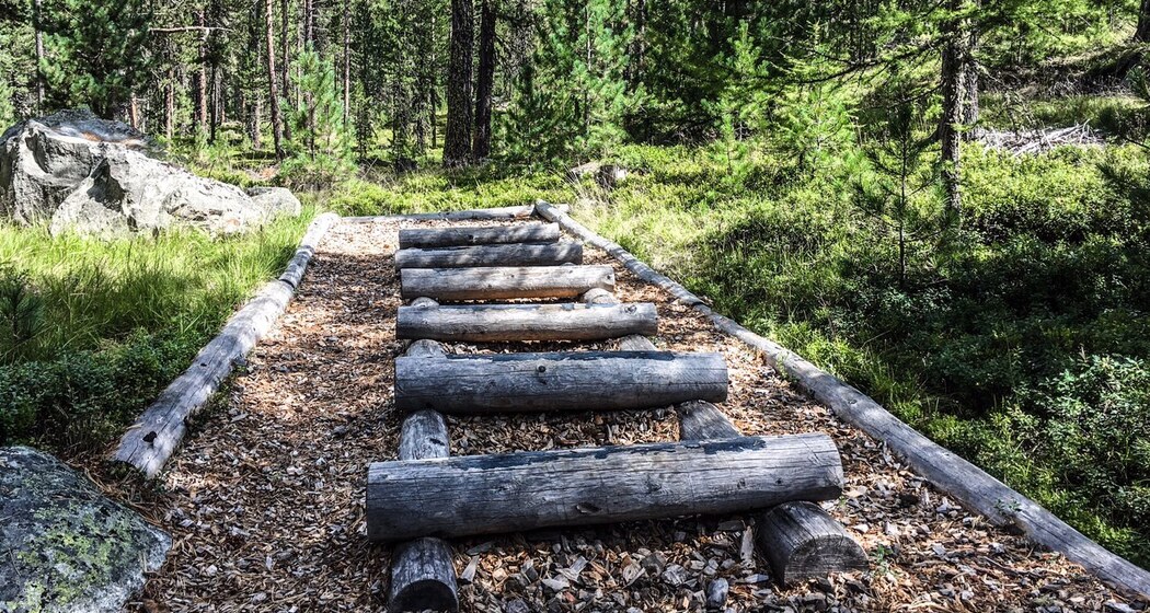 Vita Parcours Celerina (oua_62765842_image)